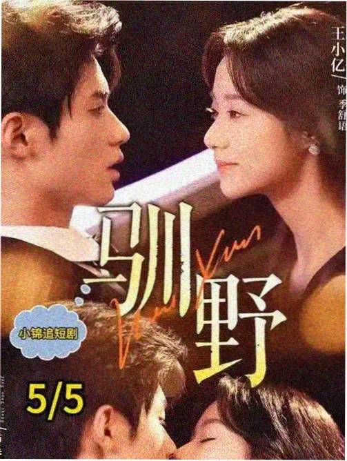 莲花楼全集在线免费观看
